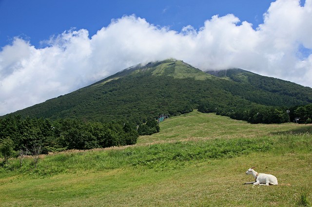 a0242438_1512171.jpg