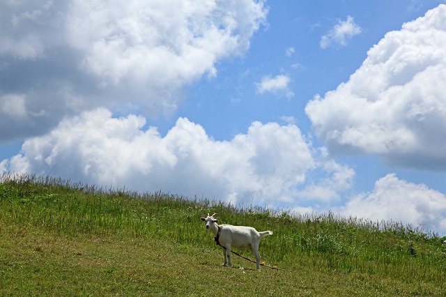 a0242438_15122665.jpg