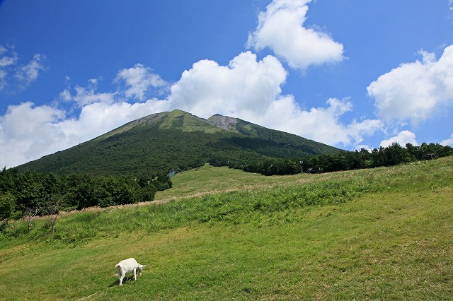 a0242438_151283.jpg