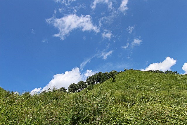 a0242438_15132686.jpg