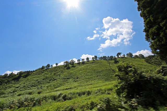 a0242438_15133339.jpg