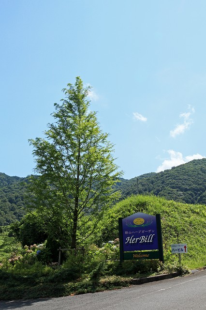 a0242438_15151355.jpg