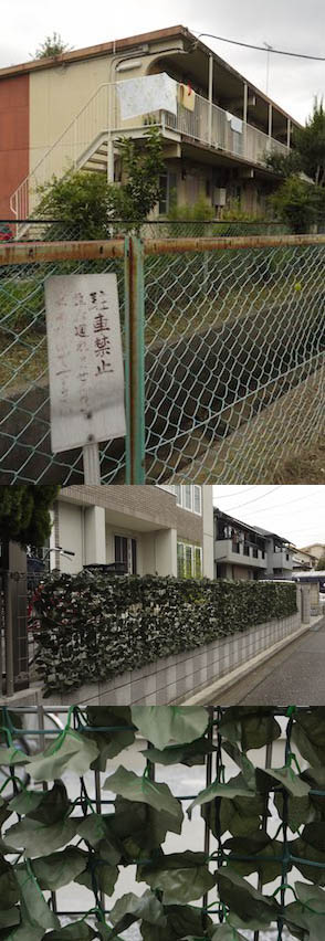 多摩散歩〜百草園_f0152544_17432526.jpg