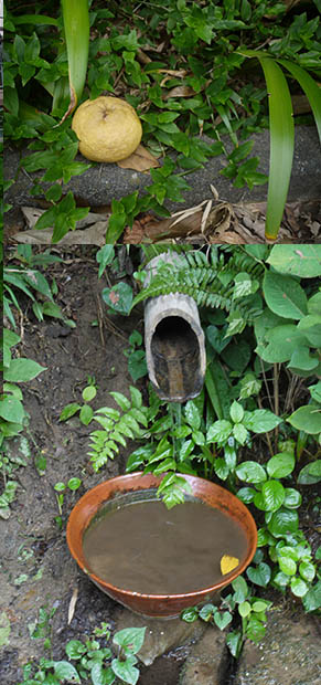 多摩散歩〜百草園_f0152544_17551464.jpg