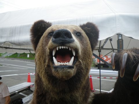 f0046250_22121918.jpg