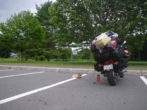 f0046250_2233049.jpg