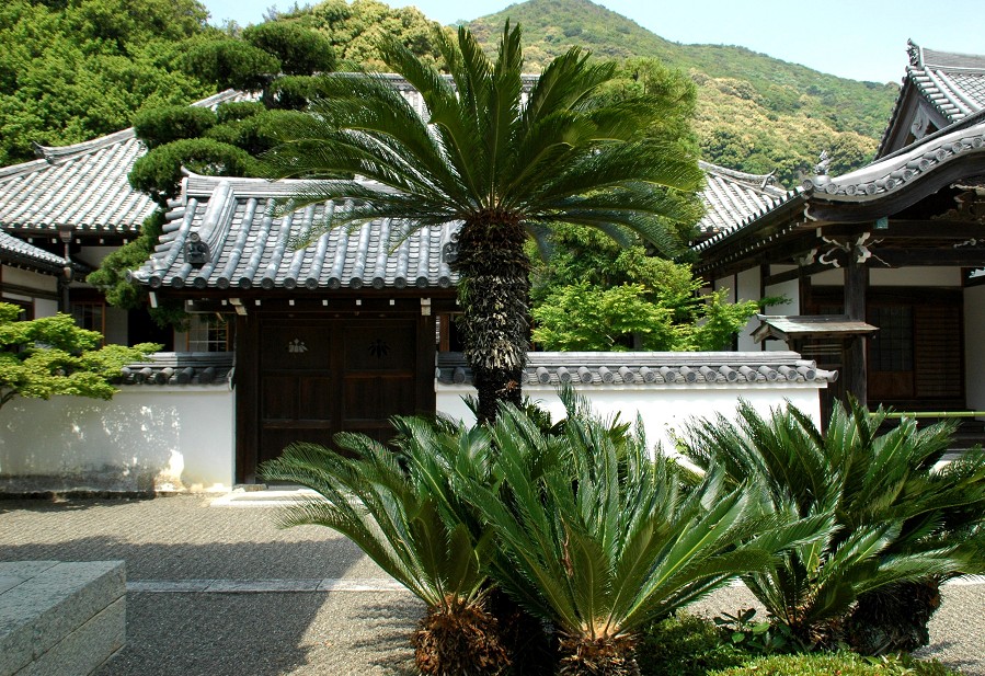　　興国寺_b0093754_21431375.jpg
