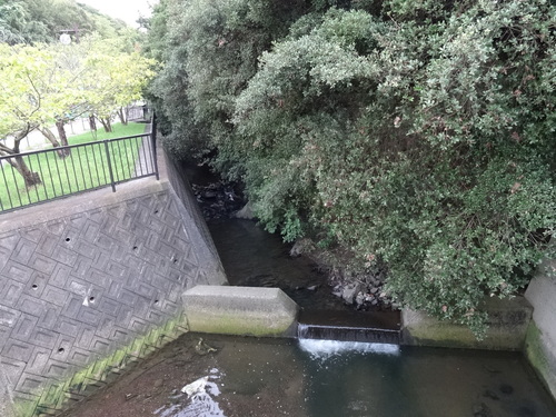 c0108460_102721.jpg