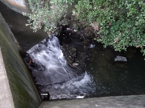 c0108460_111713.jpg