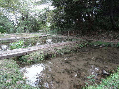 c0108460_164555.jpg