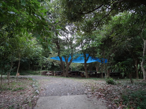 c0108460_1646850.jpg