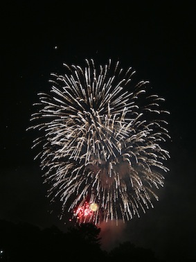 高知よさこい祭り & 徳島阿波踊り_c0227168_15291575.jpg