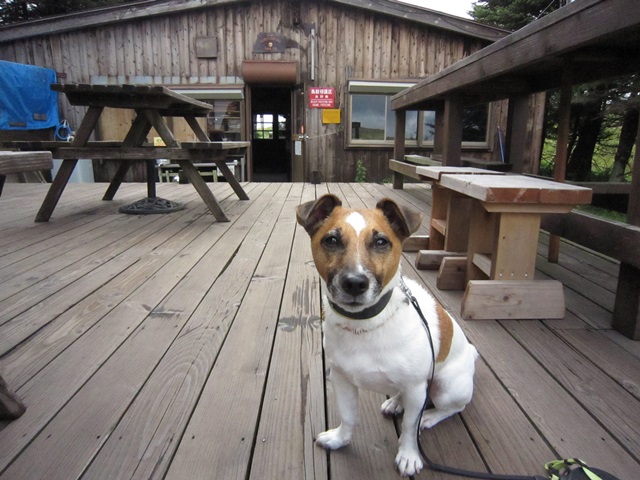 f0100871_16254820.jpg