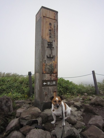 f0100871_1684960.jpg