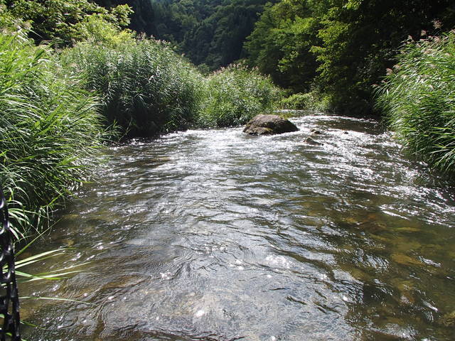 a0093677_1036881.jpg
