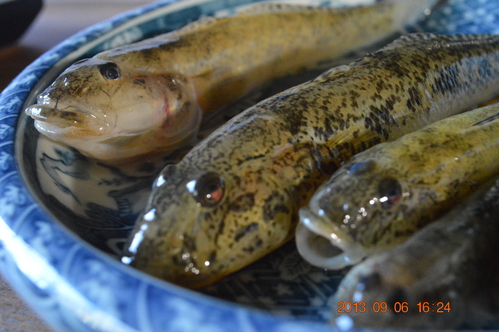 c0223879_62347100.jpg