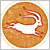 e0040579_20235719.png
