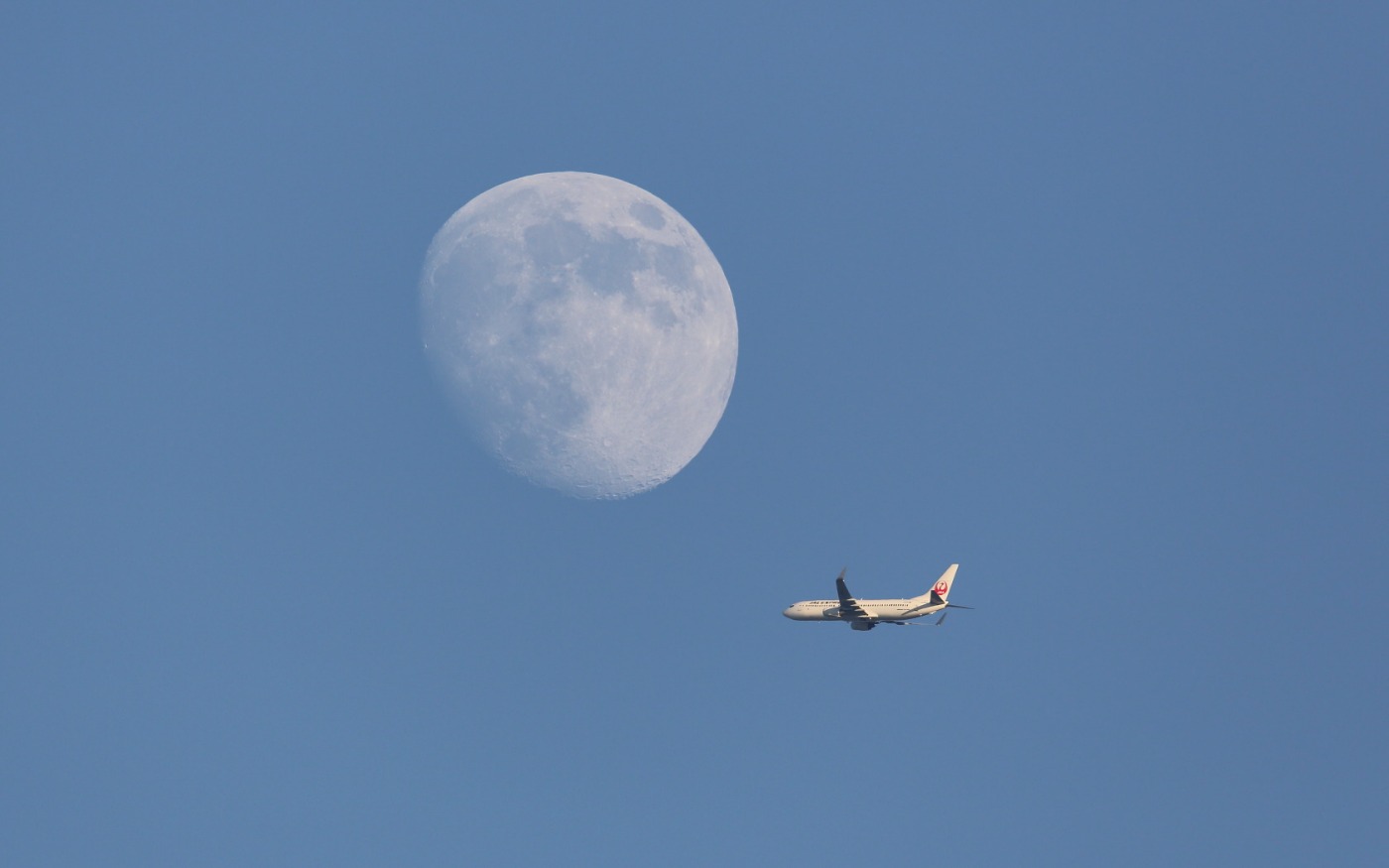 e0276279_89058.jpg