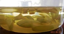 c0026781_17101659.jpg