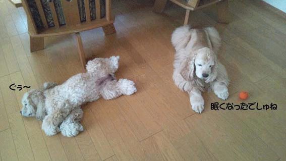 f0218182_19272010.gif