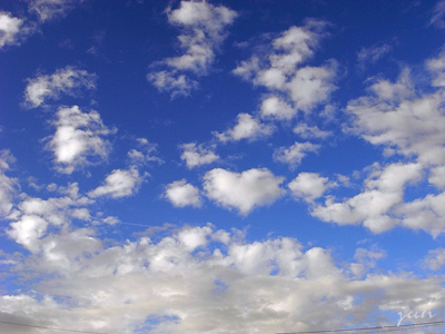 c0051385_395174.jpg