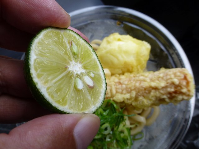 c0118393_16294262.jpg