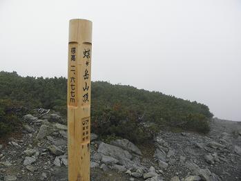 d0032405_20315697.jpg