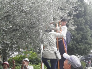 d0241210_19414950.jpg