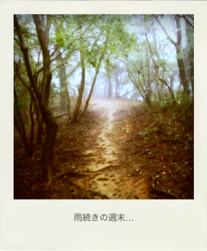 b0183911_22392057.png