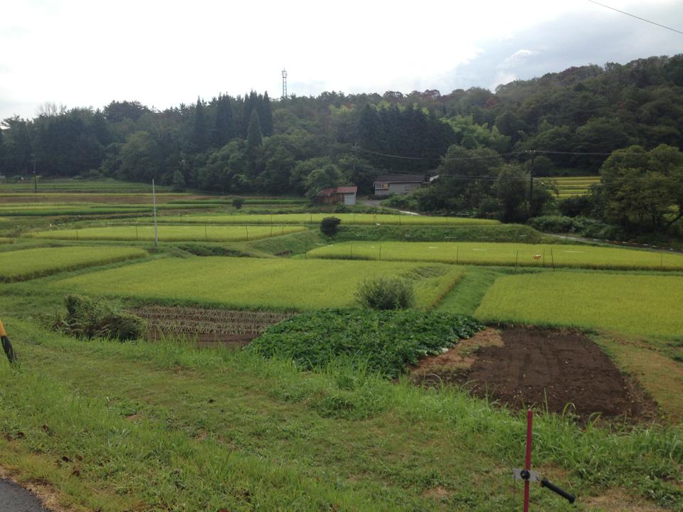 f0062414_15553158.jpg