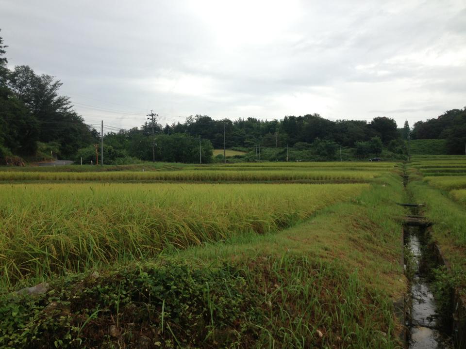 f0062414_15564367.jpg