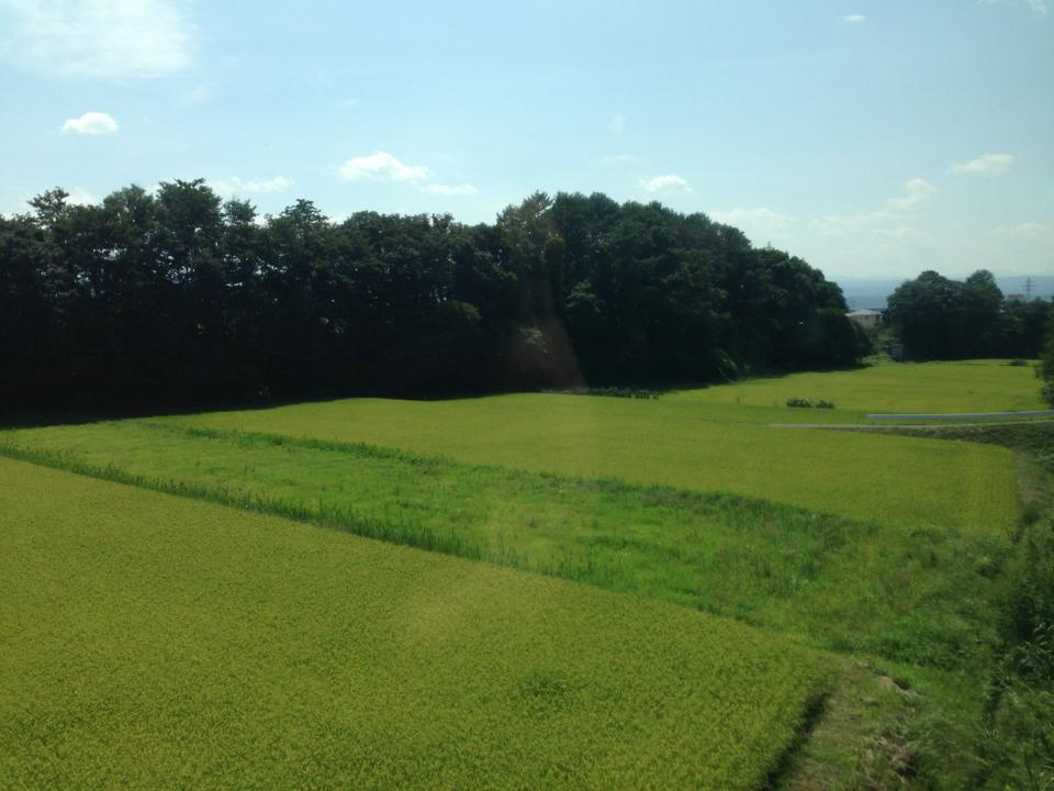 f0062414_16501573.jpg