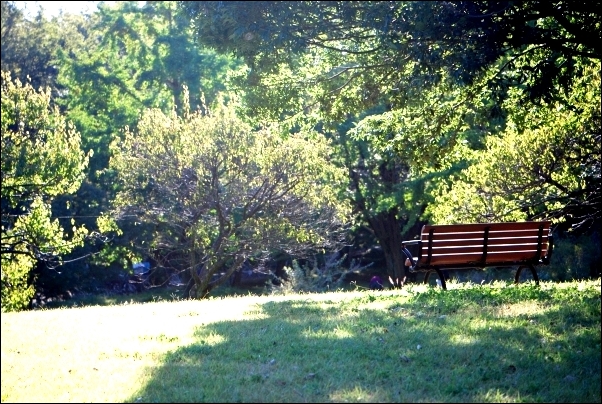 f0200114_1213533.jpg