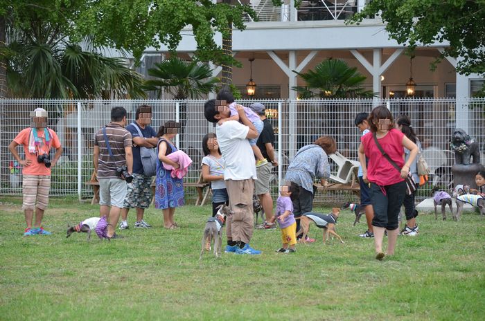 秋のプチ遠足と新\"犬\"歓迎会♪_e0192015_2272029.jpg