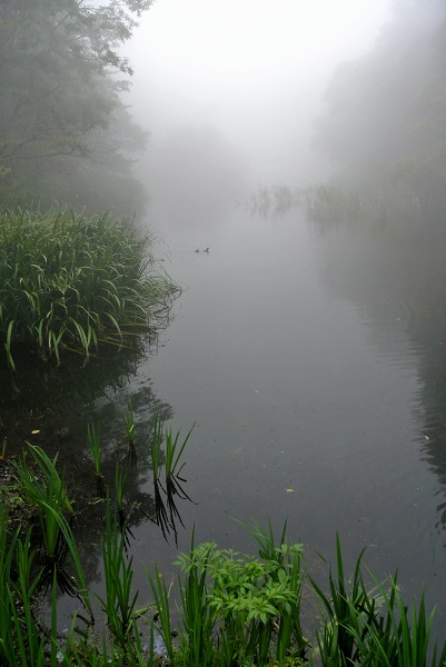 初秋の軽井沢 その三_a0096417_20105651.jpg