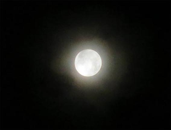 ■週替わりの夕暮れ_d0190217_22112029.jpg