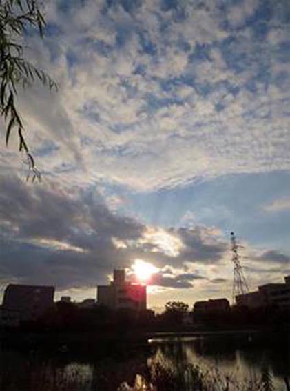 ■週替わりの夕暮れ_d0190217_2214738.jpg