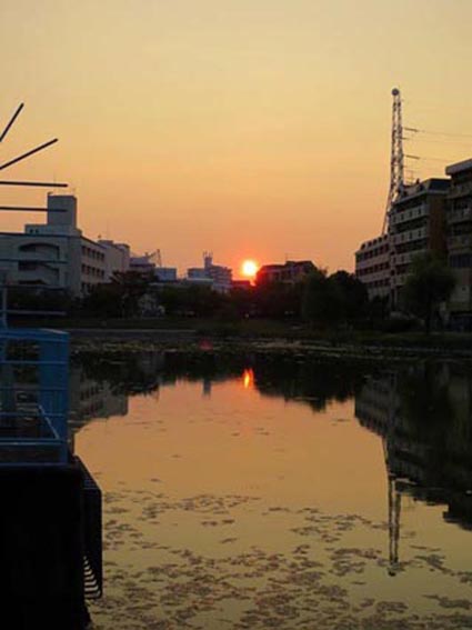 ■週替わりの夕暮れ_d0190217_22163595.jpg