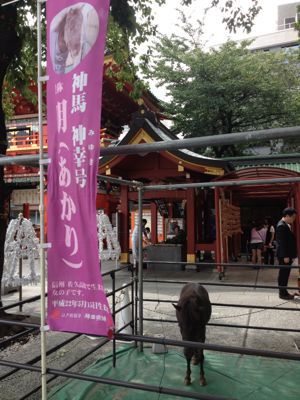 明日はニューヨークに戻りま〜す。_f0095325_1633754.jpg