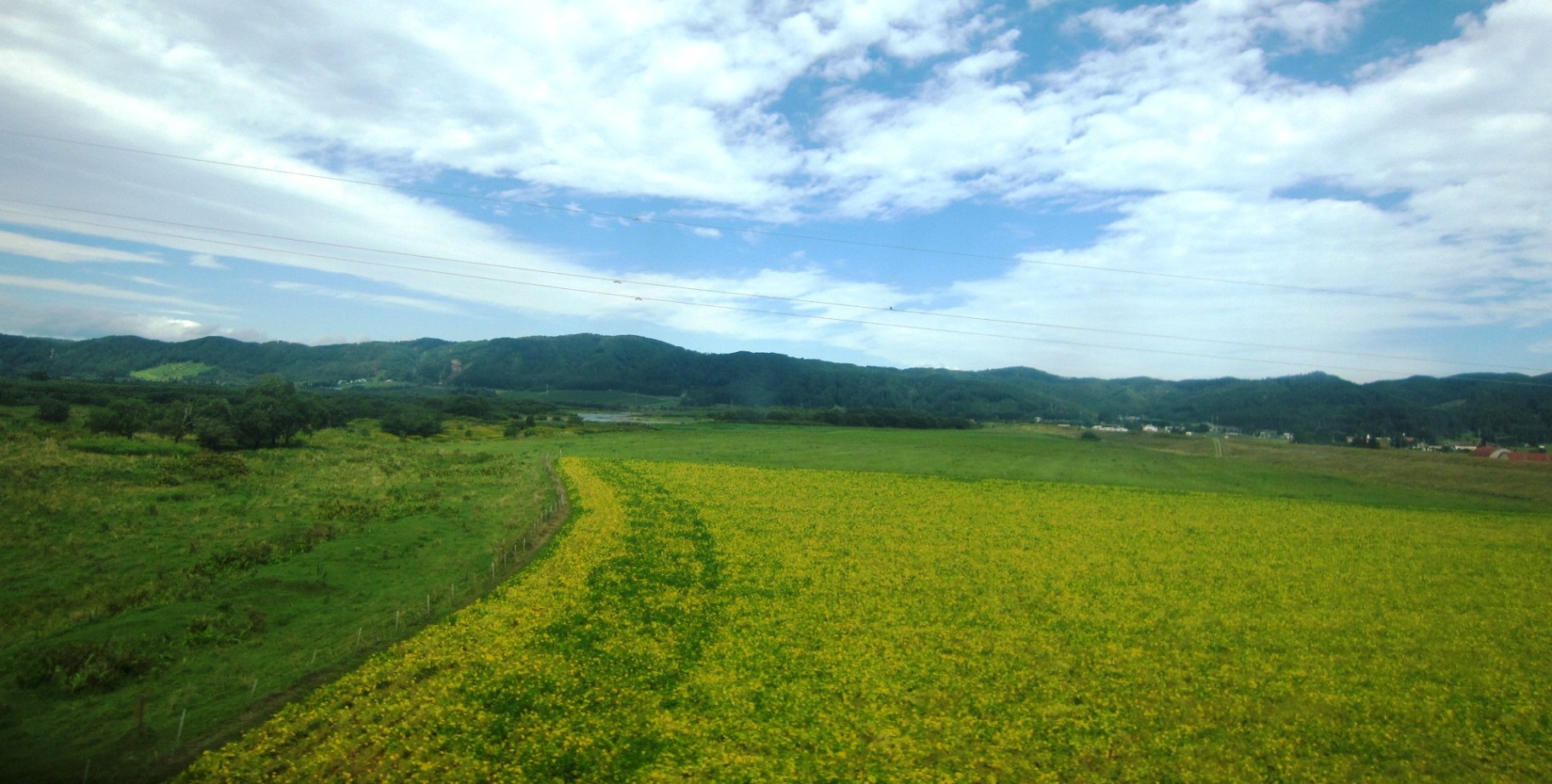 2189)「釧路湿原」(JR.北海道 悠悠旅倶楽部 二泊三日（2013年9月5~9月7日で釧路湿原巡り&ニセコ有島記念館)_f0126829_10315186.jpg