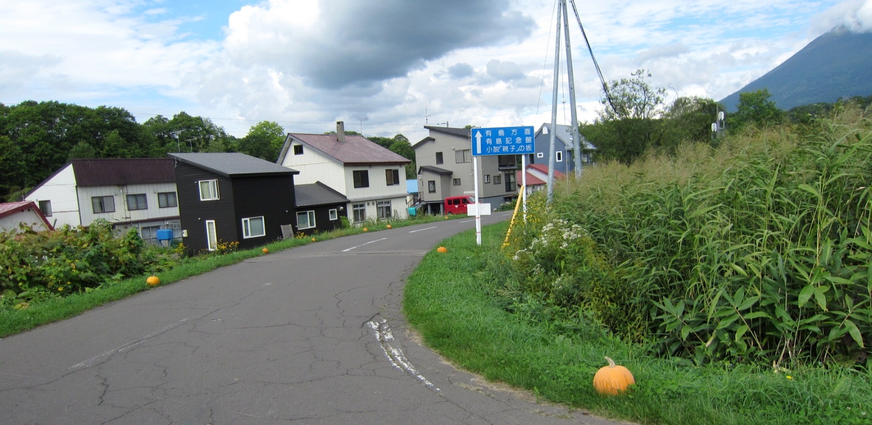 2190)「ニセコ町の風景」(悠悠旅倶楽部 二泊三日（②2013年9月5日~9月7日 釧路湿原巡り&ニセコ有島記念館)_f0126829_1529161.jpg