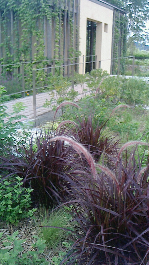 b0182530_8244166.jpg