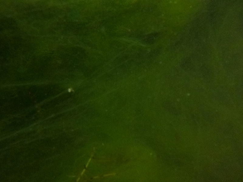 c0113733_10114872.jpg