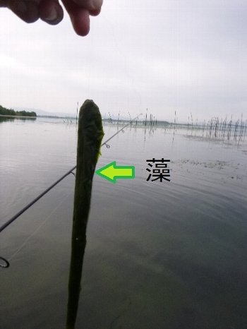 c0113733_9591917.jpg