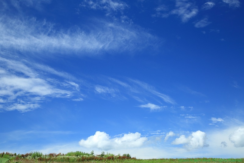 c0244037_23343630.jpg