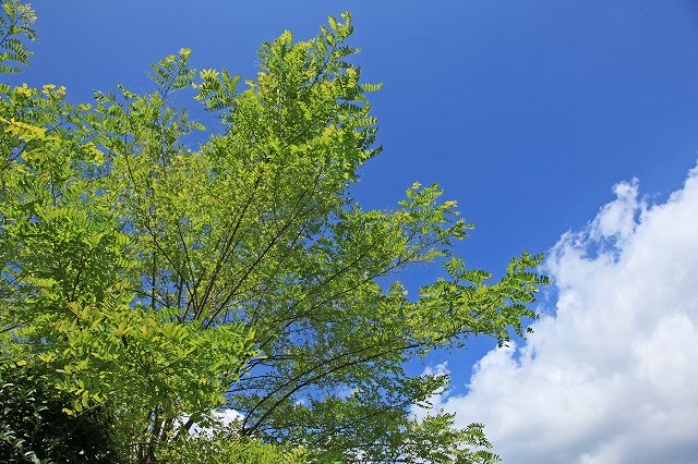 a0242438_17495272.jpg