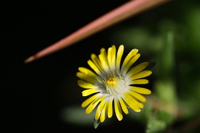a0242438_17502180.jpg