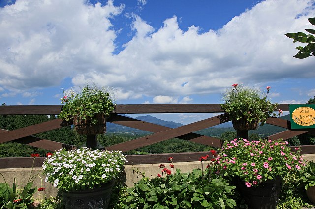 a0242438_17503625.jpg