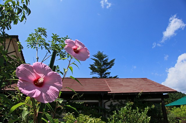 a0242438_17504870.jpg