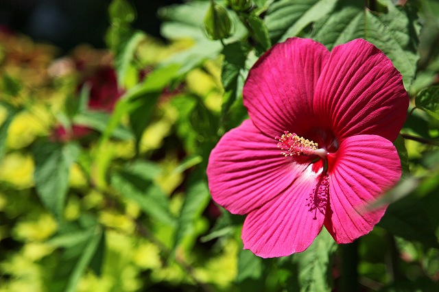 a0242438_17541360.jpg
